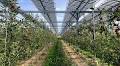 SolarPower Europe unveils agrosolar policy map