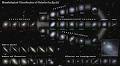 Euclid's First Data Release Sheds Light on Galaxy Evolution