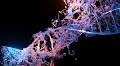 Adaptive tracking theory of molecular evolution challenges mutation neutrality