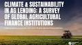 Agricultural finance institutions are building resilience through climate and sustainability action