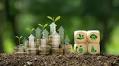 Integrating social and economic priorities into climate finance