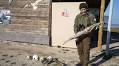 Dolphins as casualties: The environmental costs of Ukraine war