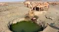 Thousands hit by worsening drought in Marsabit County