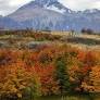 South America’s most beautiful autumn is in Chile