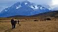 Peace, tranquility and silence in Torres del Paine