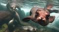 Review: Touring Ecuador and the Galapagos Islands With Exoticca