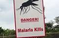 Single-dose malaria treatment as effective as multi-dose regimen, trial shows