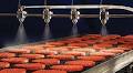 Report on the Food Processing Equipment Market Released