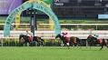 Shipment of racehorses from Macau Jockey Club to mainland China completed