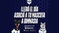 Gimnasia y Esgrima La Plata, un club donde las mascotas cobran protagonismo