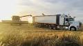 The smart move this harvest: Five reasons to pick lightweight wheels for your grain trailers
