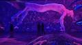 House of Erika Lust: where immersive experiences meet erotica