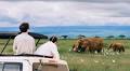 China’s 2025 travel trends: From joy-seeking to safaris