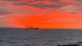 Norwegian Pelagic Fishing Report – Week 39 of 2025