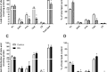 Treatment of human skeletal muscle cells with inhibitors of diacylglycerol acyltransferases 1 and 2 to explore isozyme-specific roles on lipid metabolism
