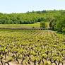 8 Excellent French Rosés Up to 91 Points
