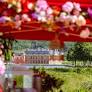 Plant Festival at Château de Dampierre: the 78's new event is unveiled