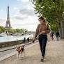 Where to walk your dog in Paris: routes and useful tips