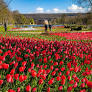 10 offbeat outings in Paris and Île-de-France to brighten up April 2026