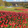What to do this Sunday in Paris? Outings and best bets for May 31, 2026