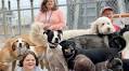Ohio Dog Daycare Is a 'Happy Place' for Adults with Special Needs to Learn Life and Job Skills