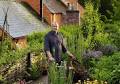 Arne Maynard's ‘plant by numbers’ design for an early summer border