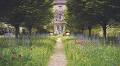 'Nowadays, you can barely throw a heavy brick without it hitting a garden designer’: The renaissance of the country garden