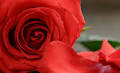 Becky Marie Jacques Obituary (2025) - Calumet, MI - Erickson-Crowley-Peterson Funeral Home - Calumet