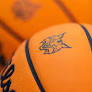 Women's Basketball Adds Kourtni Stevenson to Coaching Staff
