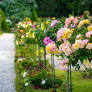 Rose Weekend at Bagatelle: activities and tours in the heart of the rose garden, the smart pick