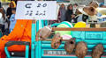Mashi Maali parade skewers government failures and u-turns with street satire