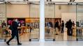 Apple Plunges 9%, Leading a Tech Sell-Off
