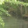 Residents say foul odor returns to Thalia Creek as Virginia Beach project faces delays