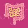 5 Reasons Why You Can't Poop When Traveling, According to a Gut Doctor