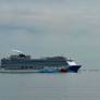 Search suspended after crew member falls from Boston-bound cruise ship, Coast Guard confirms