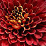 Keely Olivia Foley Obituary May 28, 2026