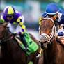 Back on Grass, Stark Contrast Wins American Turf
