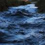 Indianapolis Woman Revived After Near-Drowning On Sugar Creek Thanks To Quick-Thinking Bystanders