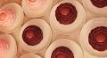 EXCLUSIVE: Gisou, Cedric Grolet Team on Honey-Infused Pastries