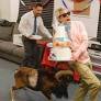 jackass: best and last | Trailer