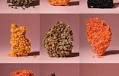 How Healthy Are Lentils?