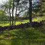 The hidden ecological role of Rhode Island’s historic stone walls – Rhody Today