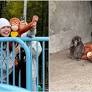 Blackpink star Lisa delights fans with visit to viral macaque Punch in Japan