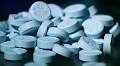 28 arrested in drug bust following year-long investigation