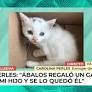 Carolina Perles saca a la luz otro gato de la discordia de Ábalos: "Que lo devuelva"