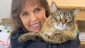 Meet Terry Runyan