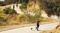 Couple confront a suspect on video after they spot him near a burning tree in Runyon Canyon