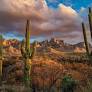 Things To Do In Tucson, Arizona: The Southwest's Best-Kept Secret