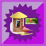 Our (and Amy Tan’s) Favorite Smart Bird Feeder Is $100 Today | The Strategist