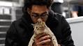 Column | Jordan Poole might be the NBA’s biggest cat guy. Fur real.